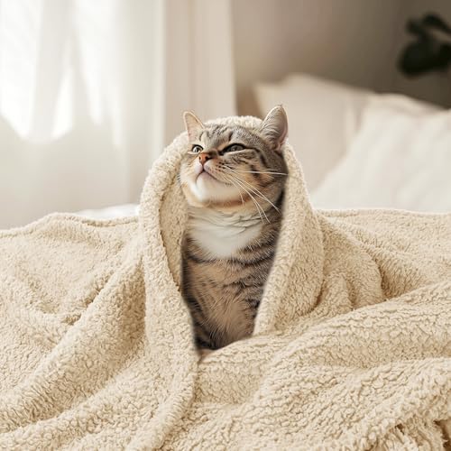 Luciphia Premium Fleece Pet Blanket for Small Medium Dogs Puppy Soft Sherpa Calming Cat Throw Blankets(Beige,57x40 inches) - color: Beige, size: 57x40 inches