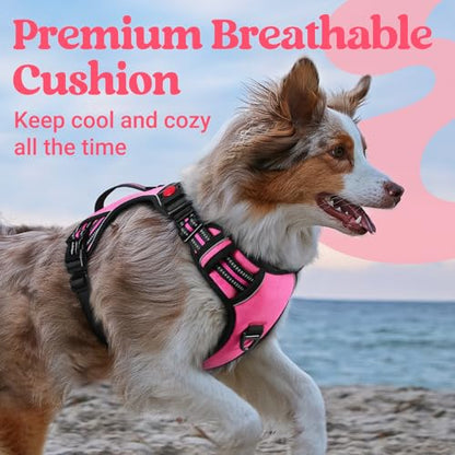 rabbitgoo Dog Harness Small Sized Dog, No Pull Pet Harness with Soft Padded Handle, Adjustable Reflective Vest with 3 Buckles, Easy Walking Harness with 2 Leash Clips, Pink, S - color: Pink, size: Small