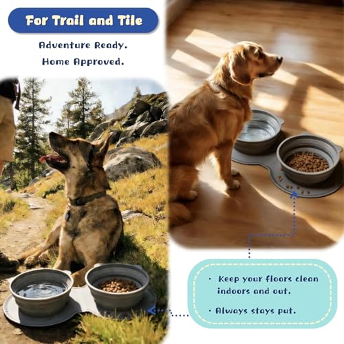 Silicone Collapsible Dog Bowl with Carabiner Clip, 2-in-1 Foldable Double Pet Food & Water Travel Bowl, Portable No-Spill Design for Walking Hiking Camping (Gray)