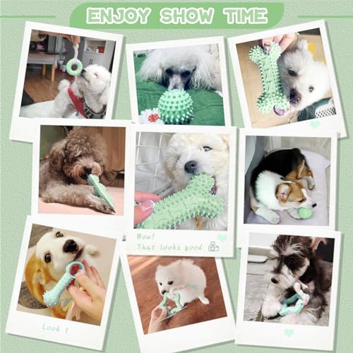 Petcare 6 Pack Small Dog Toys for Small Breed, Cute Green Puppy Teething Toys, Rubber Chew Toys, Essentials to Keep Them Busy, Best Pet Birthday Dog Toys - color: Green