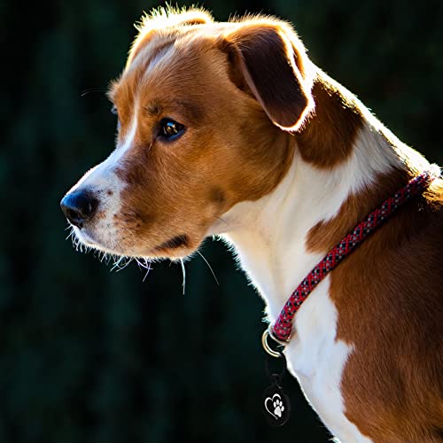 QR Code Pet ID | Personalized Dog & Cat Collar Tag | Online Profile with Instant Scanned Location Alert Email - style: Heart Paw