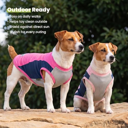 Fitwarm 2 Pack UPF 50+ UV Sun Protection Dog Shirt, Lightweight Breathable Cooling Vest, Quick Dry Dog Summer Clothes for Small Dogs Boy Girl, Reflective Label Pet Cat Outfit, Pink, Medium - color: Rose Red-Pink, size: Medium