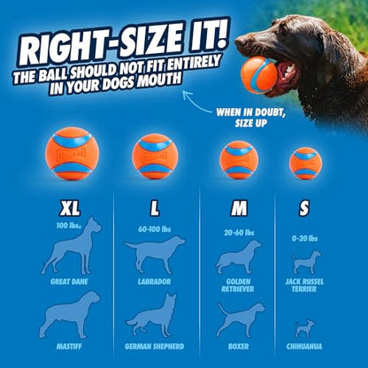 Chuckit! Dog Balls - Interactive Dog Toys, High-Bounce Fetch Ball, Ultra and Rugged Balls, Durable - Size Medium, 2.5-inch Diameter, Set of 3 - size: Medium (2.5"), style: Fetch Pack 2
