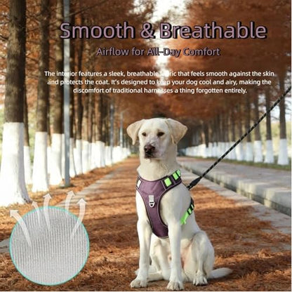 Chesoon Tactical Harness Leash Set Escape Proof Comfort Mesh Reflective Vest with Handle Large Breed 30.8-49.6lb / 14.0-22.50kg Blue - color: Blue, size: L