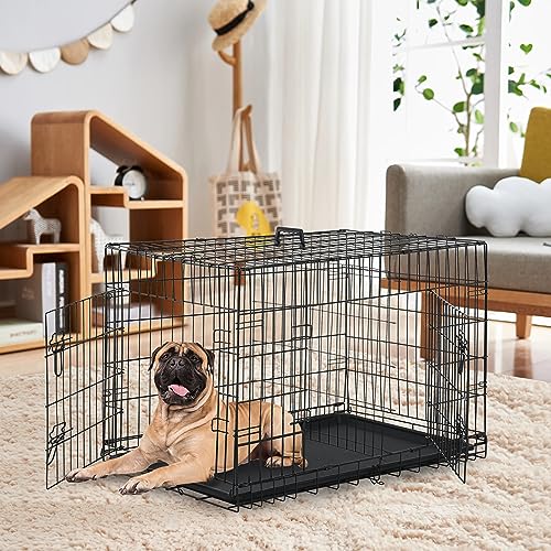 24/7 Shop at Home Gossamer Metal Double Door Folding Wire Pet Crate with Divider, Removable Tray, and Handle for Outdoor and Indoor Medium Dog, 36-inch, Black - size: 36.4"L x 22.6"W x 24.8"H