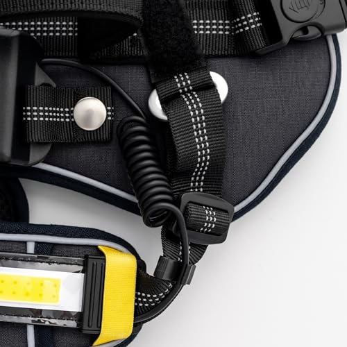 Lumi One LED Dog Harness for Night Visibility and Safety, Patent Pending – High-Visibility Light-Up Dog Vest with 1000 Lumen LED, Rechargeable Battery, Adjustable Fit, Reflective Trim (Black, Large) - color: Black, size: Large