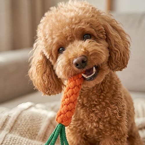 Handmade Braided Carrot Shape Chew Toy, Orange with Green Leaves, 8.66 Inch Length, Durable Pet Dental Toy, (1 Piece Set)