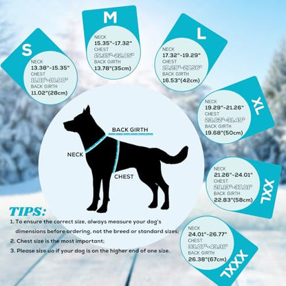EMUST Dog Coat Winter, Waterproof Pet Snow Jacket for Winter, Adjustable Small/Medium/Large Dog Coat, Turquoise, L - color: Turquoise, size: Large