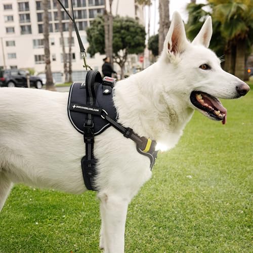 Lumi One LED Dog Harness for Night Visibility and Safety, Patent Pending – High-Visibility Light-Up Dog Vest with 1000 Lumen LED, Rechargeable Battery, Adjustable Fit, Reflective Trim (Black, Medium) - color: Black, size: Medium