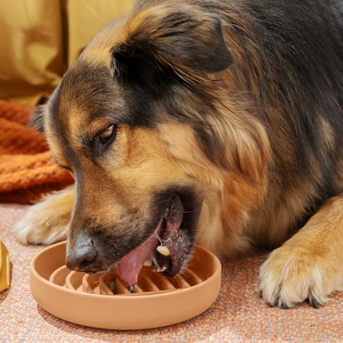 Should We Go? Slow Feeder for Dogs & Puppies, The Slowdown Bowl Silicone Slow Eating Modern Lick Mat Design, Reduces Gulping, Fits 2 Cups 7.5” Across x 1.5” Tall, Mealtime Challenge, Medium-Terracotta - color: Terracotta - Rainbow Design, size: Medium (7.