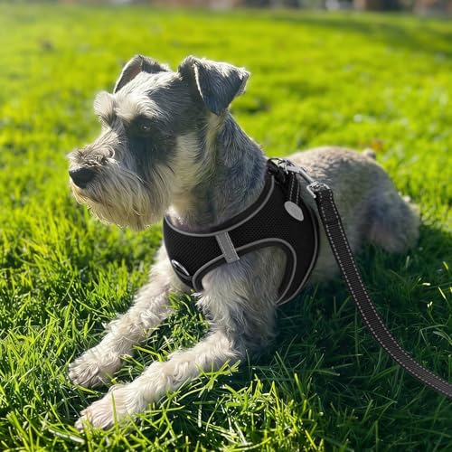 Joytale Small Dog Harness, Breathable Mesh Step-in Vest, Reflective Soft Padded Harnesses for Cats, Puppies and Extra Small Dogs, Black, XXS - color: Black, size: XXS--Chest: 12-13.5''