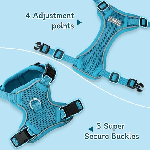 Small Dog Harness and Leash Set, Reflective Soft Breathable Mesh Vest, 3 Buckles, Adjustable Neck and Chest,Step in Dog Harness for Walking, Running, Training, Turquoise, XS - color: Turquoise, size: X-Small