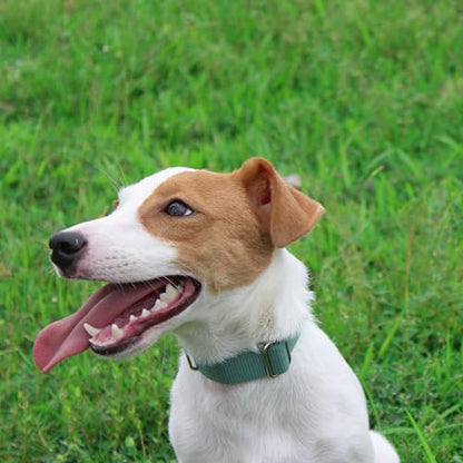 Mikivery Nylon Dog Collar with Quick Release Buckle Soft Adjustable Sturdy for Small Medium Large Dogs Emerald,L - color: Emerald, size: L：17.5"-25.5"