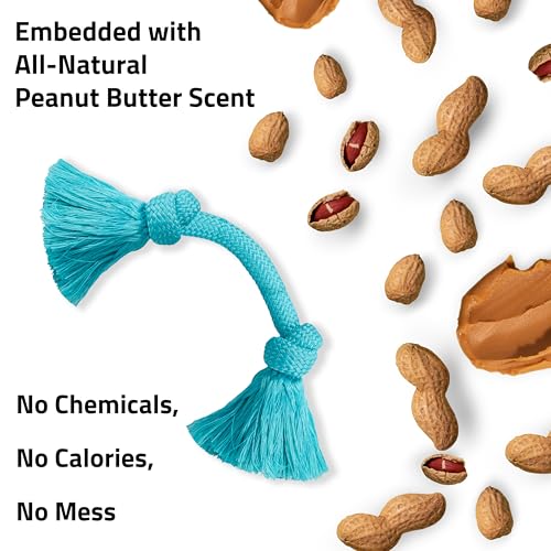 Playology Dog Toys | Dri-Tech Rope Toy Tug of War Rope for Aggressive Chewers | Medium Peanut Butter Scented Toy - Easy to Clean and Made from Non Toxic Materials - size: Medium, style: Peanut Butter