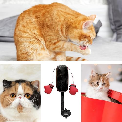 Cat Punching Bag Toy – Interactive Cat Boxing Toy with Springy Bobbing Action, Suction Cup Base, Indoor Kitten Exercise and Fun Activity Cats Boxing (1PC) - color: 1PC