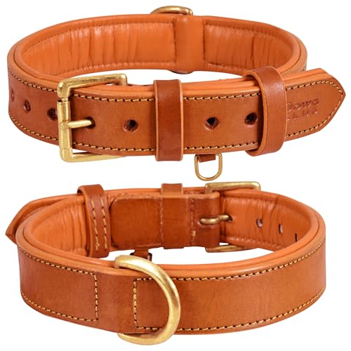 Genuine Leather Dog Collar | Full Grain, Heavy Duty, Comfortable, Padded, Strong | Best for Pups, Small, Medium, Large & XL Breeds (Small (Fit Neck Size 11.5"-14.5"), Tangerine Orange) - color: Tangerine orange, size: S (Fit Neck Size 11.5"-14.5")