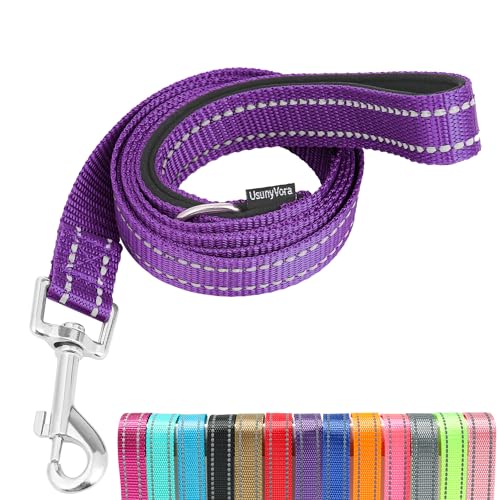 Reflective Nylon Dog Leash for Walking,Strong Dog Leash with Padded Handle for Medium and Large Dogs,6 FT,Purple - color: Purple, size: 1" x 6 FT