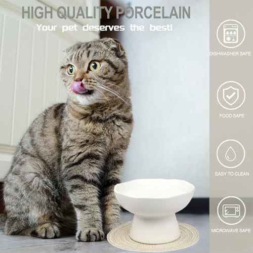 6.1" Wide 1.57" Deep Elevated Cat Water Bowls, Ceramic Raised Food Plate,Cat Feeder,Anti Vomiting Whisker Fatigue,White - color: White-Deep