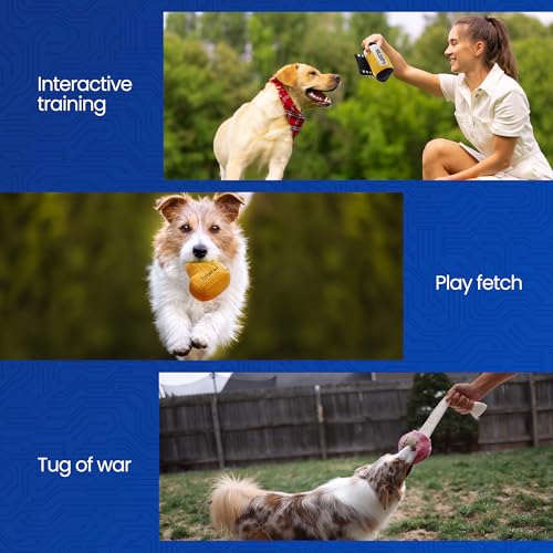 Nocciola Funny Squeaky Dog Toys, Old Tech Themed Stuffed Plush Puppy Toy Set with Hidden Treat Pockets, Cute Crinkle Chew Toys for Small Medium Large Breed, Boy Dog Birthday Gifts, 7 Packs - style: Tech Themed