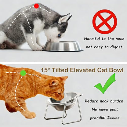 2 Pcs Elevated Cat Bowls, 15°Tilted Stand Whisker Friendly Raised Cat Food & Water Dishes, 5.9 inch Stainless Steel Indoor Anti-Vomiting Small Dog Bowls,Dishwasher Safe,Spine Friendly - size: 2Pack