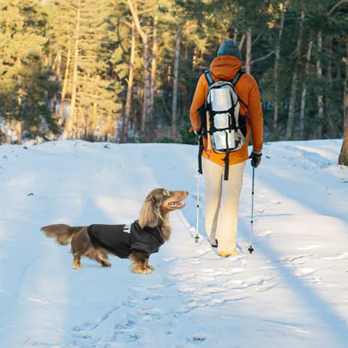 BINGPET Security Dog Hoodies Dachshund Sweater Cold Weather Dog Coats Soft Brushed Fleece Pet Clothes Hooded Sweatshirt for Dog Cat - color: #1 Black(Security), size: Large (Dachshund Recommend)