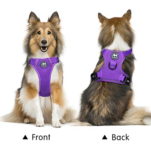 PoyPet Reflective Soft Breathable Mesh Dog Harness No Choke Double Padded Vest Adjustable(Purple,S) - color: Purple, size: S