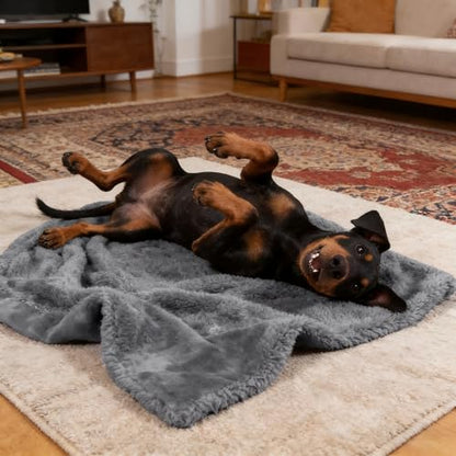 Grey Large Dog Blanket, Super Soft Fluffy Sherpa Fleece Dog Couch Blankets and Throws for Large Medium Small Dogs Puppy Doggy Pet Cats, 50x60 inches - color: Dark Grey