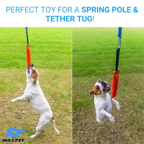 Bull Fit K9 Dog Bite Tug Toy with Strong Handle - Made of Durable & Tear-Resistant French Linen - Perfect for Tug of War, Fetch & Puppy Training - Ideal for Medium to Large Breeds - color: Orange Bite Tug with Blue Handle