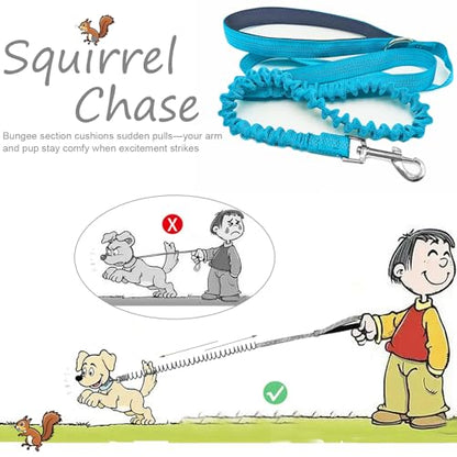 Bungee Dog Leash- 5FT Shock Absorbing & Reflective Nylon Leash | Anti-Pull Training for Small/Medium Dogs | 2cm Wide, 6 Colors (Teal) - color: Teal