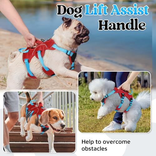 rabbitgoo Escape Proof Dog Harness Large Dogs, Soft Padded Full Body Pet Harness, Reflective Adjustable No Pull Vest with Lift Handle and Leash Clip for Walking Hiking Training, Blue & Red, S - color: Blue & Red, size: Small (Pack of 1)