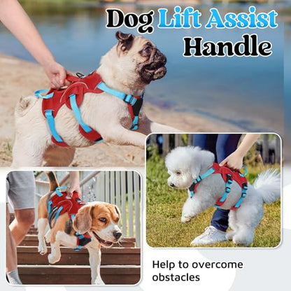 rabbitgoo Escape Proof Dog Harness Large Dogs, Soft Padded Full Body Pet Harness, Reflective Adjustable No Pull Vest with Lift Handle and Leash Clip for Walking Hiking Training, Blue & Red, S - color: Blue & Red, size: Small (Pack of 1)