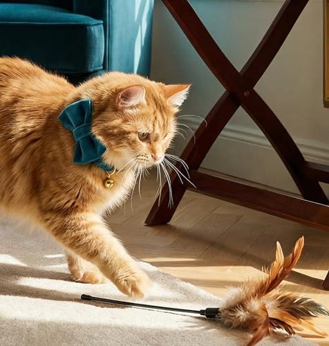 Personalized Velvet Cat Collar with Bell, Custom Engraved Name and Phone Number, Adjustable Luxury Kitten Collar, Non-Breakaway Secure ID Collar for Cats and Kittens - color: Jade Green, size: S