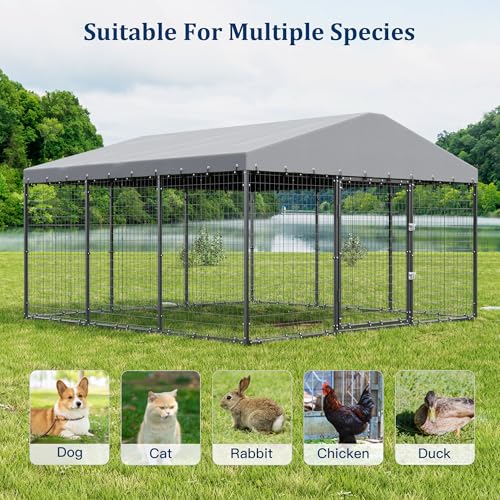 Kullavik 10x10x6 FT Large Outdoor Dog Kennel,Anti-Rust Galvanized Steel Dog Pen with Double Locks,Heavy Duty Dog Enclosure Fence with UV & Water Resistant Roof Cover for Outside - size: 118"L x 118"W x 70.9"H