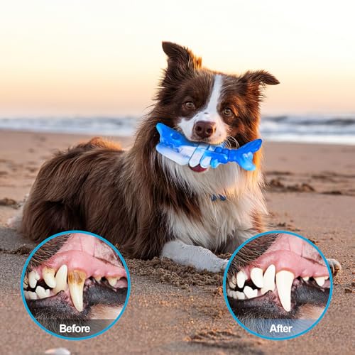 PETSTA Dog Chew Toys for Aggressive Chewers, Durable Toys for Large Dogs, Heavy Duty Indestructible Large Dog Toys, Tough Dog Toys for Medium/Large Dogs Breed - color: BlueFish