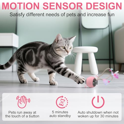 Interactive Cat Ball Toy Active Smart Rolling Balls Automatic Kitten Toys with Elastic Mesh Tail Rechargeability Motion Activated Pet Ball for Indoor Cats