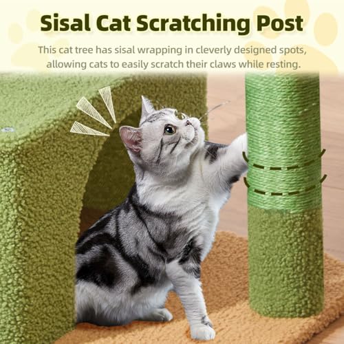 Taoqimiao MS043T Cat Tree, 32.2-Inch Cat Tower for Indoors Cats, Cat Condo with Large Cat Perch, Spacious Cat Cave, Scratching Posts for Small and Medium Cats, Cactus - color: Cactus
