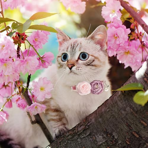 Cat Collars with Bell - 3 Pack Breakaway Floral Cute Cat Collars for Girl Boy Cats, Kitten, Puppy - Adjustable (7.5"-12.5") Soft Velvet Cat Collar Accessories - color: pink+green+purple