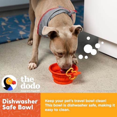 The Dodo Collapsible Dog Bowl, Red; Travel Dog Bowl That Folds Flat and Clips with Carabiner for Easy Storage and Carry - color: Red