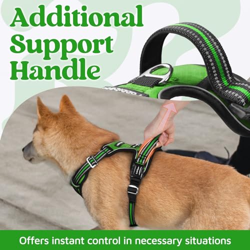 rabbitgoo Dog Harness Small Sized, No Pull Dog Vest with 3 Buckles, Adjustable Soft Padded Pet Harness with Easy Control Handle and Reflective Strips, Green, S - color: Green, size: Small