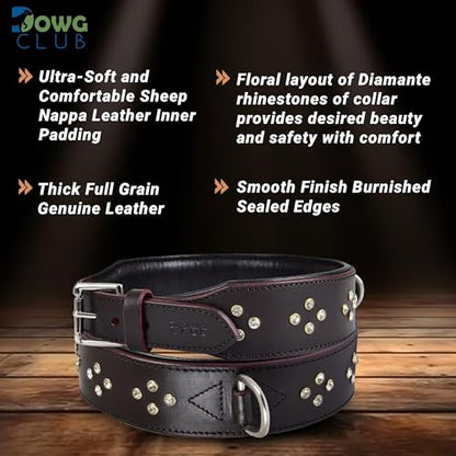 Genuine Leather ‘Cupola’ Series Dog Collar | Rhinestone | Soft, Cushion Padding, Handmade | Best for Medium, Large, XL Breeds (M (Neck Size 14.5"-18.5"), Silver Rhinestones, Crimpson) - color: Silver Rhinestones, Crimpson, size: M (Neck Size 14.5"-18.5")