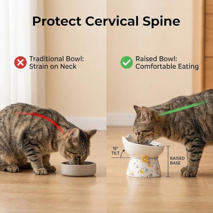 Elevated Ceramic Cat Bowls, 15°Raised Cat Food Bowl, Whisker Friendly Anti Vomiting Cats Dishes, Anti Vomiting & Protect Pet's Spine, Feeder Dish for Indoor Kitty and Small Dogs (Cat Pattern) - color: Cat pattern