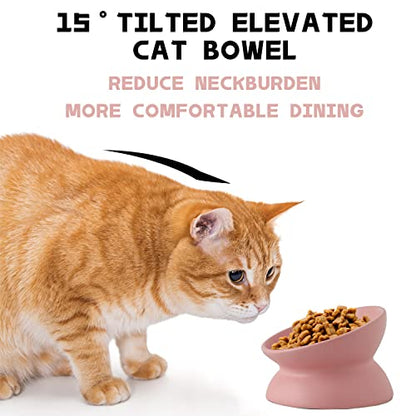 Ceramic Raised Cat Bowl, Cat Food Bowls Elevated Tilted, Ceramic Pet Bowl Whisker Friendly, Anti Vomit & Reduce Neck Burden for Food and Water (Pink) - color: Pink