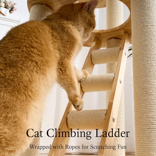797Audio Wood Modern Cat Tree, 61.5" Tall Cat Tower with Sisal Scratching Posts, Cat Condo, Capsule and Ladder, Solid Wooden Aesthetic Multi-Level Cat Climbing Tree for Large Adult Indoor Cats - color: 62 Inch