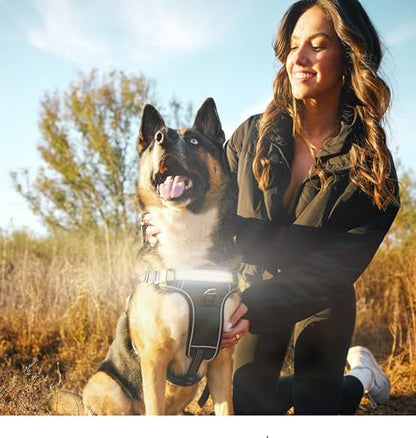 Lumi One LED Dog Harness for Night Visibility and Safety, Patent Pending – High-Visibility Light-Up Dog Vest with 1000 Lumen LED, Rechargeable Battery, Adjustable Fit, Reflective Trim (Black, Medium) - color: Black, size: Medium
