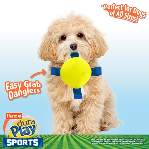 Hartz Dura Play Sports Baseball Dog Toy, Bacon Scented Squeaky Latex Yellow & Blue Toy, 3 Count - size: 3 Count, style: Baseball