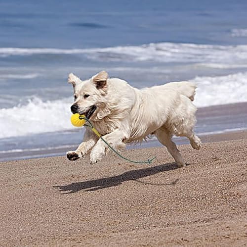 2 Pack Ball with Rope Dog Toy,Fling Dura Foam Toy,Dog Water Float Ball Rraining Boall on Rope (1 * 7cm/2.8"+1 * 9cm/3.5") - size: 1*7cm/2.8"+1*9cm/3.5"