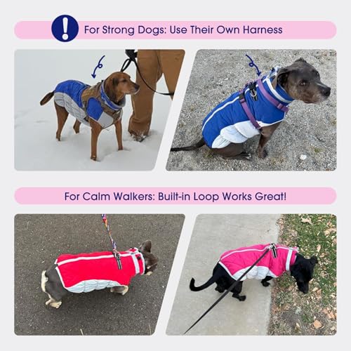 FUAMEY Dog Coat for Medium Dogs,Waterproof Dog Winter Jacket with Harness Built in Puppy Cold Weather Coats Reflective Pet Vest with Zipper Warm Fleece Dogs Snowsuit Windproof Green M - color: Green, size: M(chest:21in)