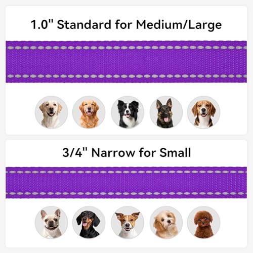 Joytale Dog Leash, 4 FT Double-Sided Reflective, Padded Handle Nylon Heavy Duty Leashes for Small Dogs Walking, Purple - color: Purple, size: 4 ft Narrow