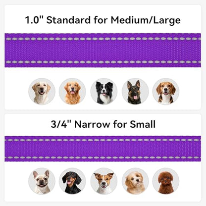 Joytale Dog Leash, 4 FT Double-Sided Reflective, Padded Handle Nylon Heavy Duty Leashes for Small Dogs Walking, Purple - color: Purple, size: 4 ft Narrow