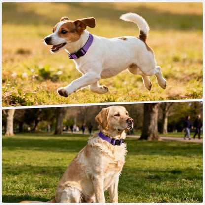 Reflective Dog Collar with Quick Release Buckle - Metal Ring - Adjustable Soft Neoprene Padded Basic Dog Collar for Small Medium Large Dogs (Purple, Small :Width 1",Neck 11.8-15.7") - color: Purple, size: Small